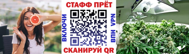 Где купить наркотики Наволоки Каннабис  APVP  ГАШИШ  Cocaine 