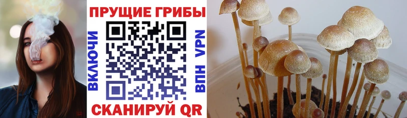 где найти   Наволоки  ссылка на мегу ССЫЛКА  Галлюциногенные грибы мицелий 